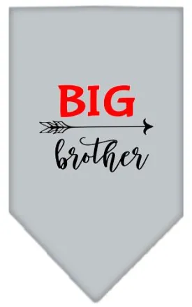 Big Brother Screen Print Bandana Grey Small