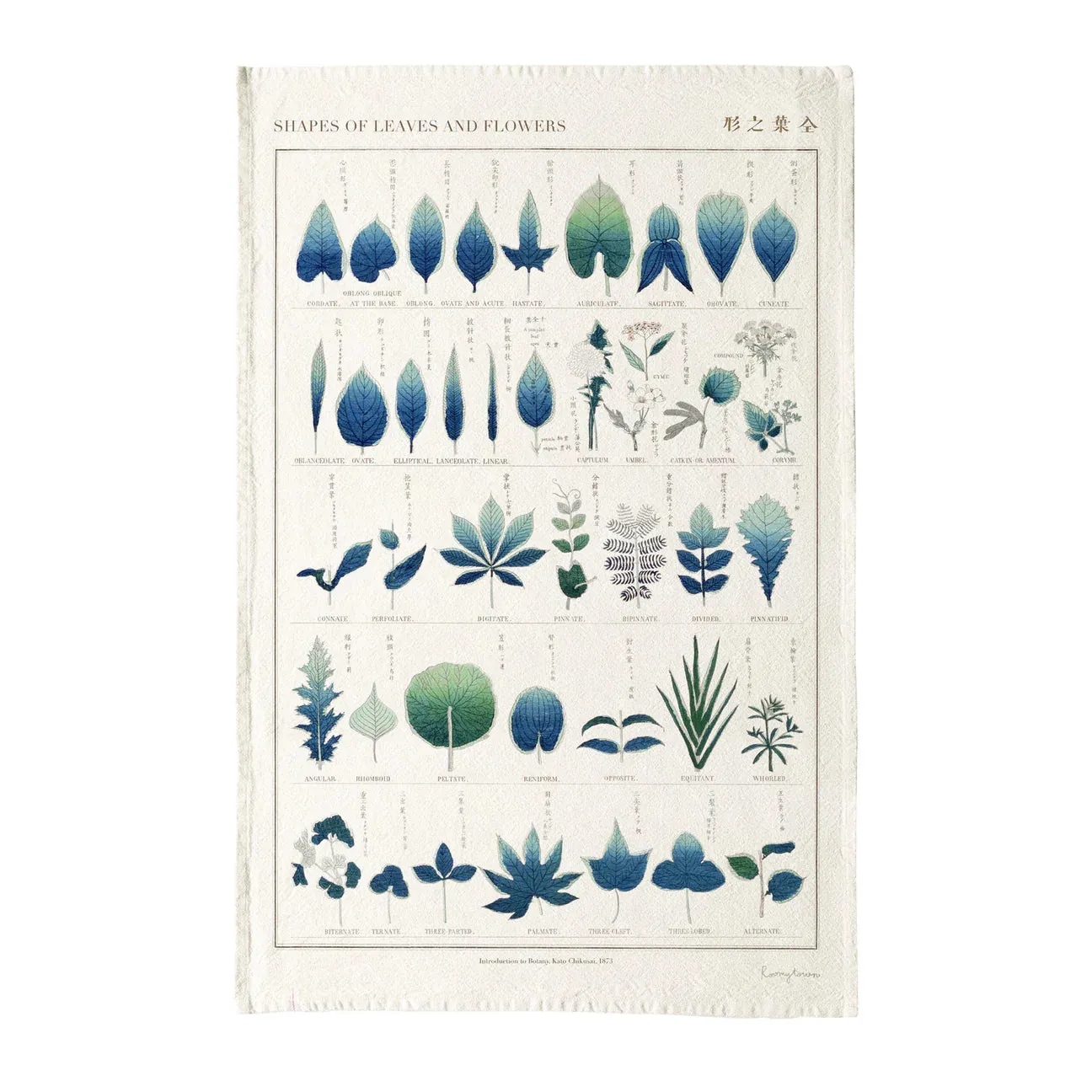 Cotton Tea Towel - Shapes of Leaves