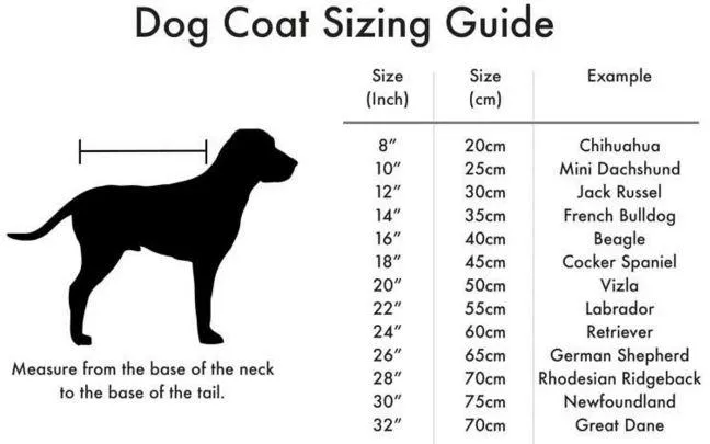 Danish Design 2 in 1 Ultimate Waterproof Dog Coat