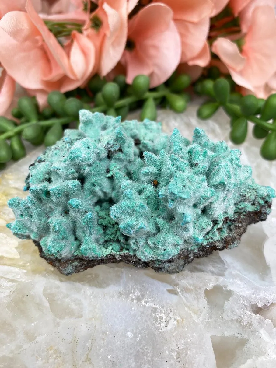 Teal Kobyashevite Clusters