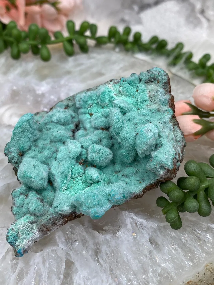 Teal Kobyashevite Clusters