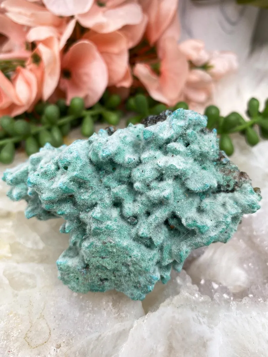 Teal Kobyashevite Clusters