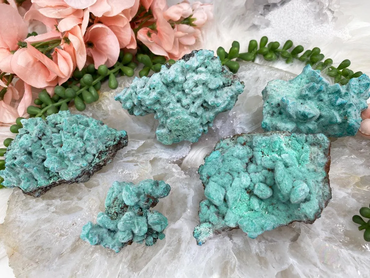 Teal Kobyashevite Clusters